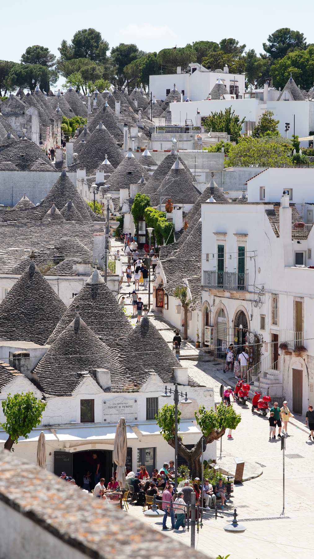 Alberobello trulli from above