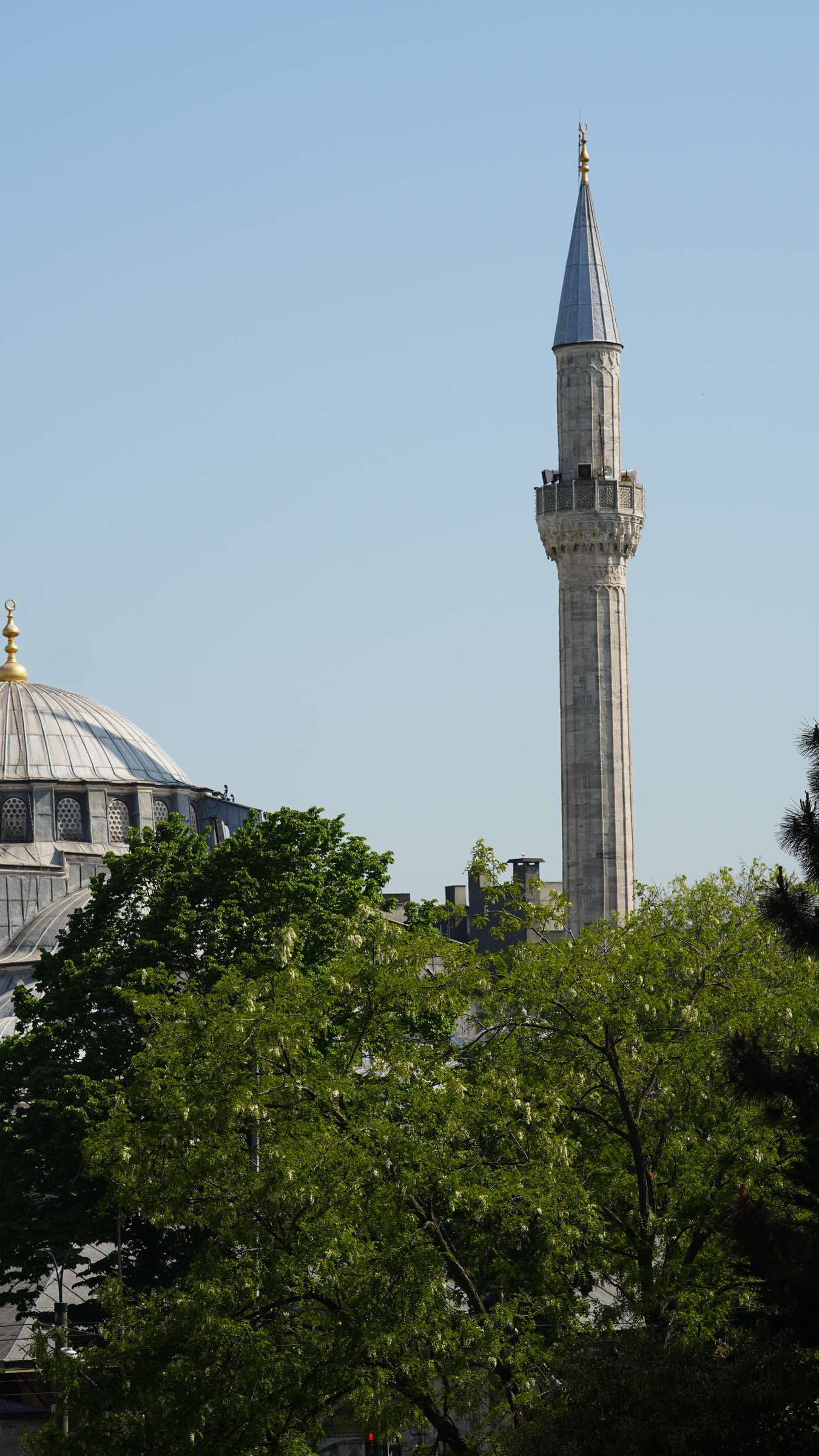 Minaret above the trees